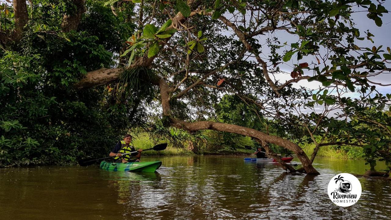 Riverview Homestay Perlis Kangar Esterno foto
